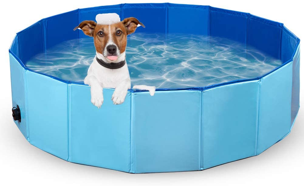 SHOPP.us Foldable Pet Bath Outdoor Portable Swimming Pool for Pets and Kids - Premium Pets from SHOPP.us- Just $22.99! Shop now at SHOPP.us