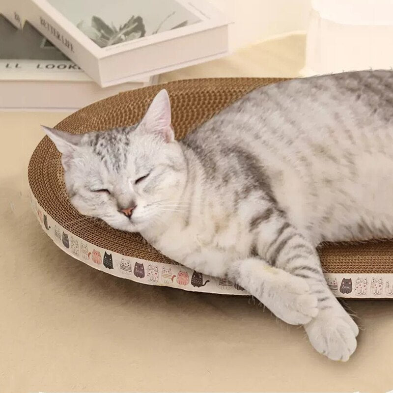 PETGS™ Cat scratching bed