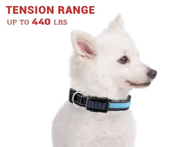 SHOPP.us USB and Solar Charge Reflective Led Dog Collar - Premium Pets from SHOPP.us- Just $27.99! Shop now at SHOPP.us