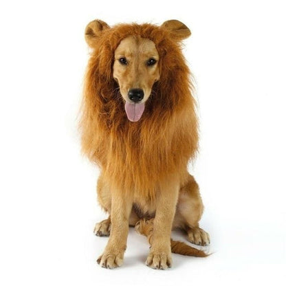 SHOPP.us Lion Theme Dog Wig - Premium Pets from SHOPP.us- Just $35.99! Shop now at SHOPP.us