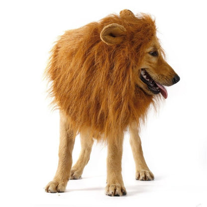 SHOPP.us Lion Theme Dog Wig - Premium Pets from SHOPP.us- Just $35.99! Shop now at SHOPP.us